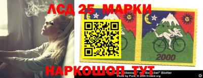 spice Новокубанск