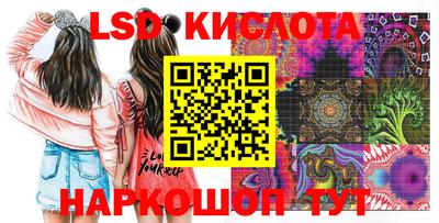 mdpv Новозыбков