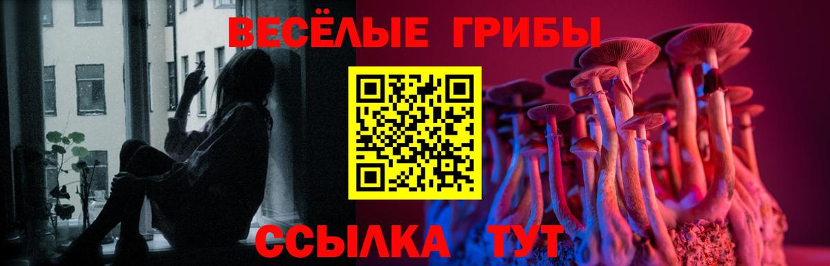 Скопин  как найти наркотики  Вход с VPN  Псилоцибиновые грибы прущие грибы 